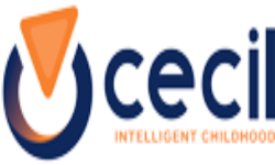 jobs and opportunities accountant at cecil Company